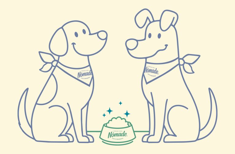 Animación perros Nómade