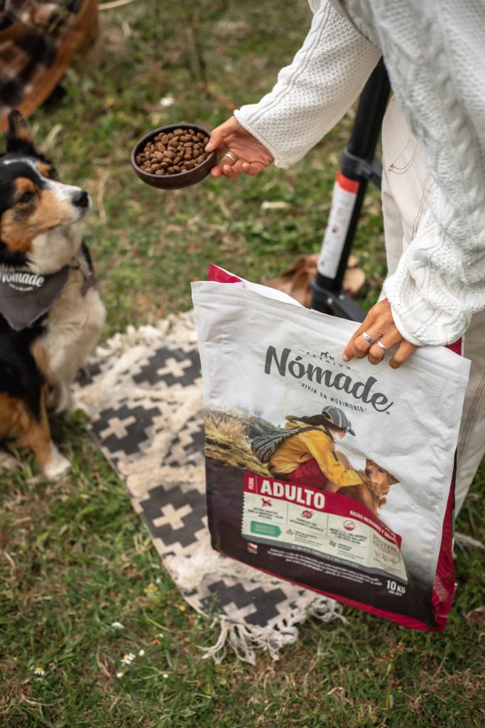 Perro adulto observando su alimento Nómade.