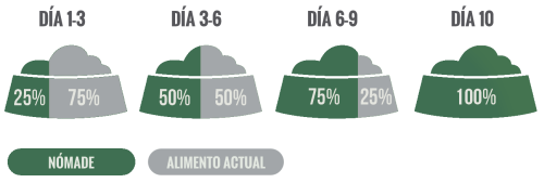 Nomade-Web-racion_razapeq_2025
