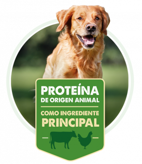 proteina_perro
